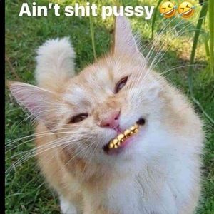 Meet your Posher, Quarie